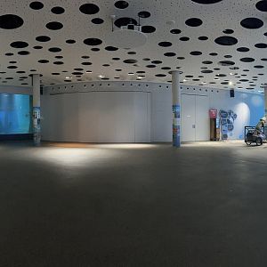 Blue Saloon Panorama (Dolphin & Manatee Underwater Viewing)