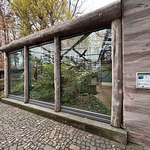 Hyacinth Macaw Exhibit