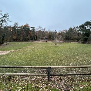 Bactrian Camel & Kulan Exhibit