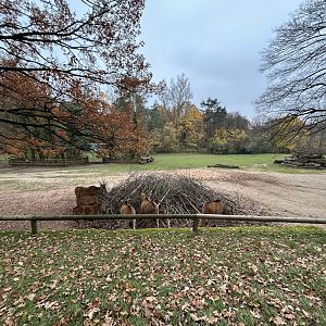 Zebra, Eland & Ostrich Exhibit