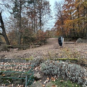 Indian Rhino Exhibit #1