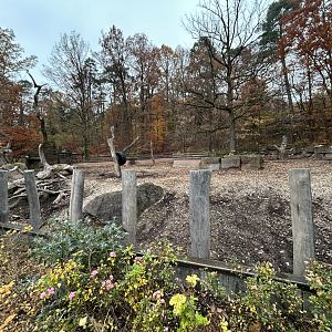 Indian Rhino Exhibit #2