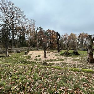 Indian Rhino Exhibit & Visayan Warty Pig Exhibit