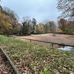 Nilgai & Blackbuck Exhibit