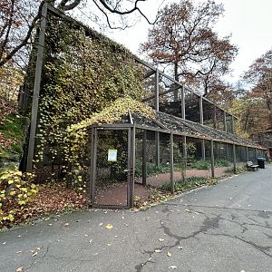 Walkthrough Wading Bird Aviary