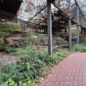 Walkthrough Wading Bird Aviary