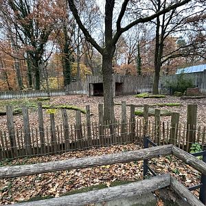 Malayan Tapir Exhibit
