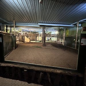 Indoor Malayan Tapir Exhibit