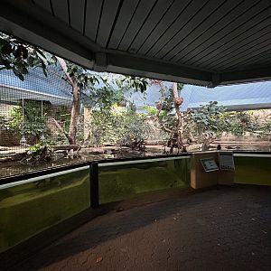 Tropical Mixed-species Exhibit