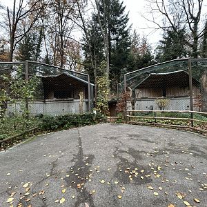 Andean Condor Aviaries