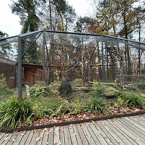 Aviary (Inhabitants Unknown)