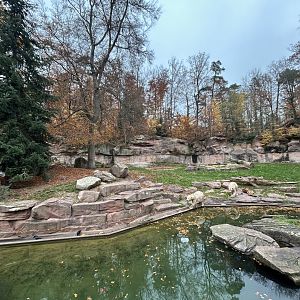 Polar Bear Exhibit #1