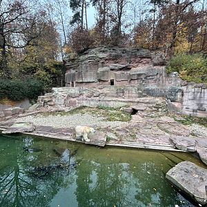 Polar Bear Exhibit #2