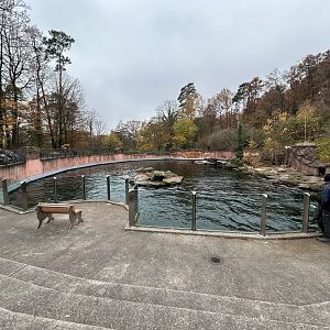 California Sea Lion & Harbor Seal Exhibit