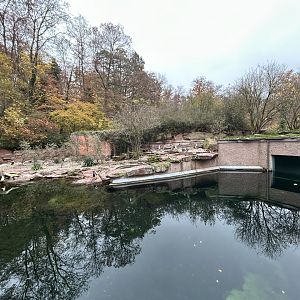 Humboldt Penguin Exhibit