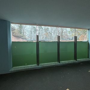 California Sea Lion & Harbor Seal Underwater Viewing