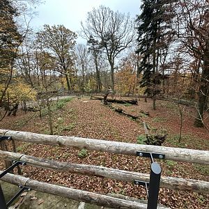Visayan Spotted Deer Exhibit
