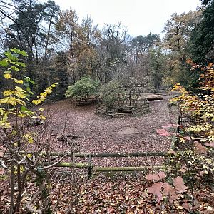 European Bison Exhibit