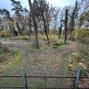 Water Buffalo Exhibit