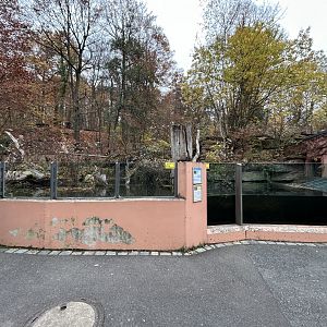 Eurasian Beaver Exhibit