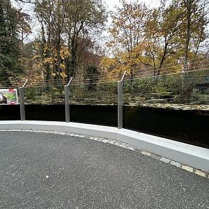 Eurasian Beaver Exhibit