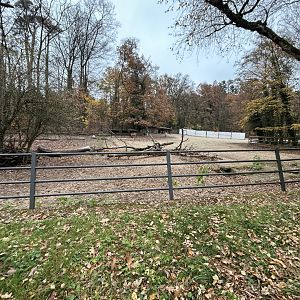 Przewalski's Horse Exhibit