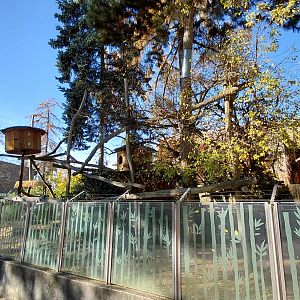 Red panda + muntjac exhibit