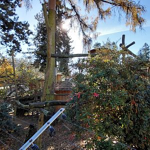 Red panda + muntjac exhibit