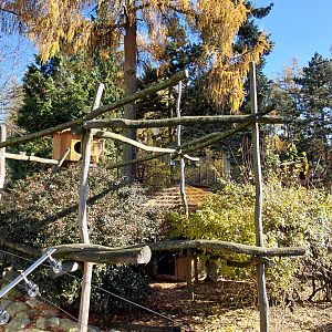 Red panda + muntjac exhibit