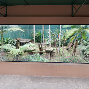 Jaguar Habitat