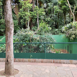 Outdoor iguana and tortoise habitat