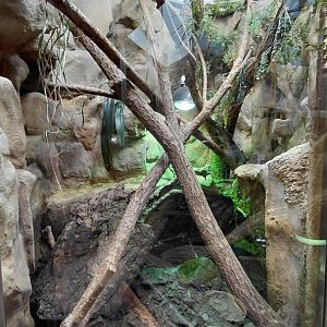 Merten's water monitor exhibit