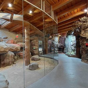 Inside the Kalahari house