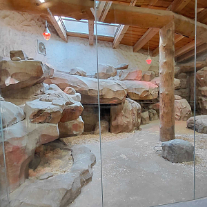 Aardvark indoor exhibit