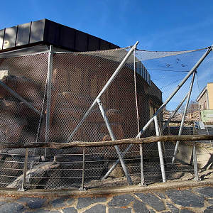 Aardvark outdoor exhibit