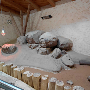 Meerkat + springhare indoor exhibit