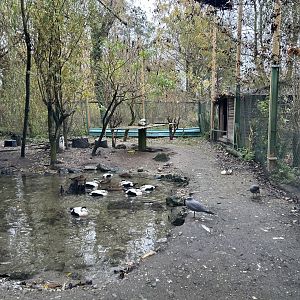 Waterfowl Aviary