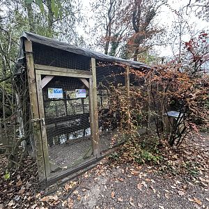 Pygmy Cormorant & Black Oystercatcher Aviary