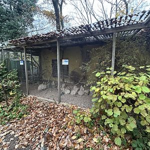 Greater Roadrunner & Lilac-breasted Roller Aviary