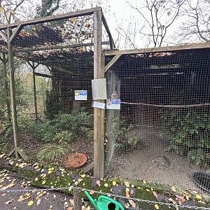 Northern Hawk Owl & European Kestrel Aviaries