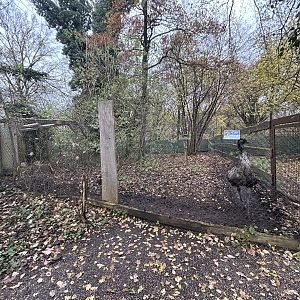 Emu Exhibit