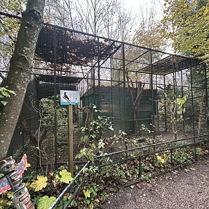 Blue and Yellow Macaw Aviary
