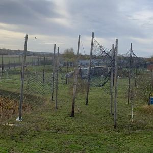 New Macaque enclosure under construction (pano), Hamerton, UK