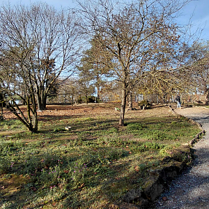 "Australian" walkthrough exhibit