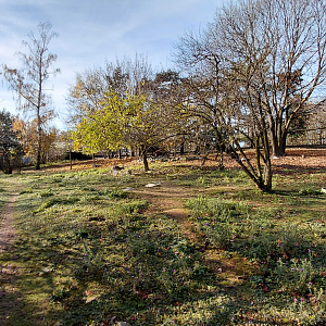 "Australian" walkthrough exhibit