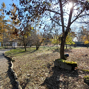 "Australian" walkthrough exhibit