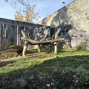 Jaguar outdoor exhibit