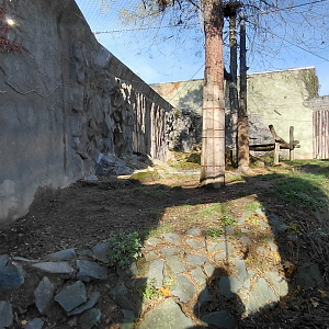 Jaguar outdoor exhibit