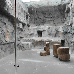 Jaguar indoor exhibit