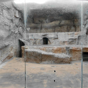 Barbary lion indoor exhibit #1